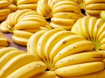 No Dia Nacional da Banana, a fruta popular no Brasil mostra seus sabores e benefícios à saúde