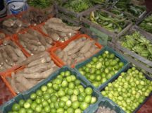 Governo de Goiás e Ministério da Cidadania anunciam ampliação de recursos do Programa de Aquisição de Alimentos Estadual