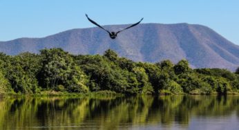 Incêndios de grandes proporções voltam a atingir Serra do Amolar (MS)