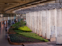 Universidade de Brasília promove jornada das Doenças Raras