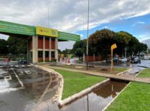 Detran GO suspende atendimentos presenciais por 14 dias