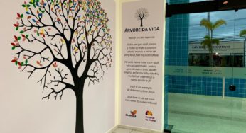 Hospitais em GO lançam projeto “Árvore da Vida” para celebrar altas de pacientes recuperados da Covid-19