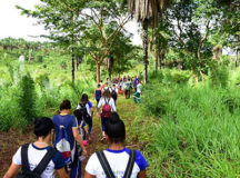 Abertas inscrições para curso Técnico em Controle Ambiental