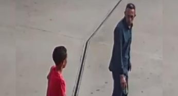 Homem mata cão com pedaço de concreto enquanto animal brincava