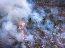 Mudanças climáticas recentes provocadas pelo homem são irreversíveis