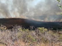 Incêndio na Chapada dos Veadeiros fecha visitação ao Parque Estadual Águas do Paraíso