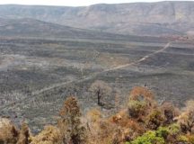 Incêndio na Chapada dos Veadeiros já queimou área de tamanho aproximado ao de Aparecida de Goiânia