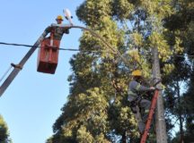 Neoenergia abre inscrições para curso gratuito de eletricista no DF; veja quem pode participar