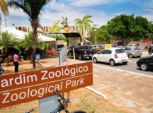 Zoológico de Brasília amplia capacidade para 5 mil visitantes por dia