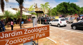 Zoológico de Brasília amplia capacidade para 5 mil visitantes por dia