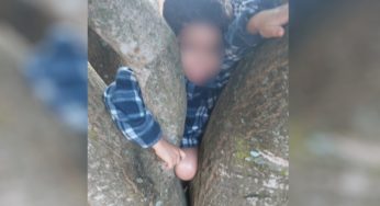 Criança fica presa em árvore enquanto brincava no quintal de casa em Luziânia