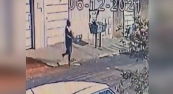Homem é preso suspeito de matar a cadela da namorada a paulada e forjar que animal tinha fugido de casa