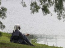 Lazer no Parque do Ibirapuera após a flexibilização do isolamento social durante a pandemia de covid-19.