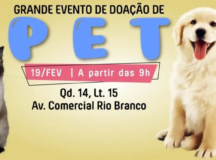 Doação de pets será realizada no próximo sábado em Valparaíso