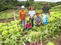 Meio ambiente e agricultura familiar fortalecem parceria com a Emater