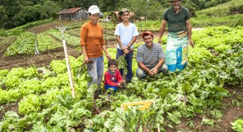 Meio ambiente e agricultura familiar fortalecem parceria com a Emater