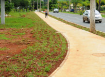 Novas calçadas ampliam a mobilidade e o conforto em Águas Claras