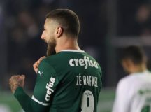 O jogador Zé Rafael, da SE Palmeiras, comemora seu gol contra a equipe do EC Juventude, durante partida válida pela sétima rodada, do Campeonato Brasileiro, Série A, no Estádio Alfredo Jaconi. (Foto: Cesar Greco)