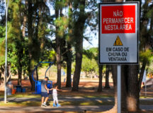 Novas placas e podas de árvore reforçam segurança no Parque da Cidade de Brasília