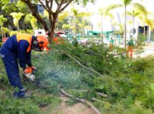 Saiba como requisitar serviços para cuidar do DF