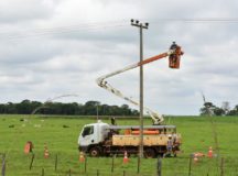 Plano Rural: Enel já realizou 100 mil podas nos primeiros seis meses do ano