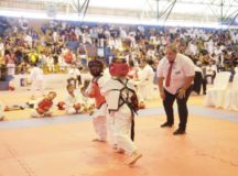 Campeonatos Abertos de Artes Marciais em Valparaíso ocorrem em setembro