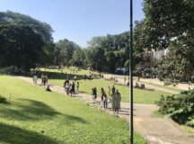 Publicado edital para contratar iluminação no Parque Burle Marx