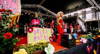 Interpretação em Libras é destaque em shows do Carnaval