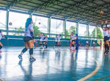 Futuro Campeão abre seletivas para basquete e voleibol femininos