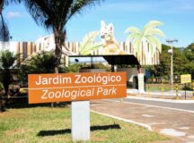 Zoo terá trilha do ‘Caminhada nos Parques’. Saiba como participar