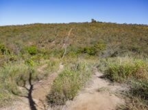 Contação de histórias e educação ambiental marcam a Semana do Cerrado