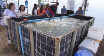 Produção intensiva de pescado será apresentada na AgroBrasília